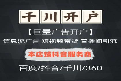 案例研究：竞价广告助力电商行业增长
